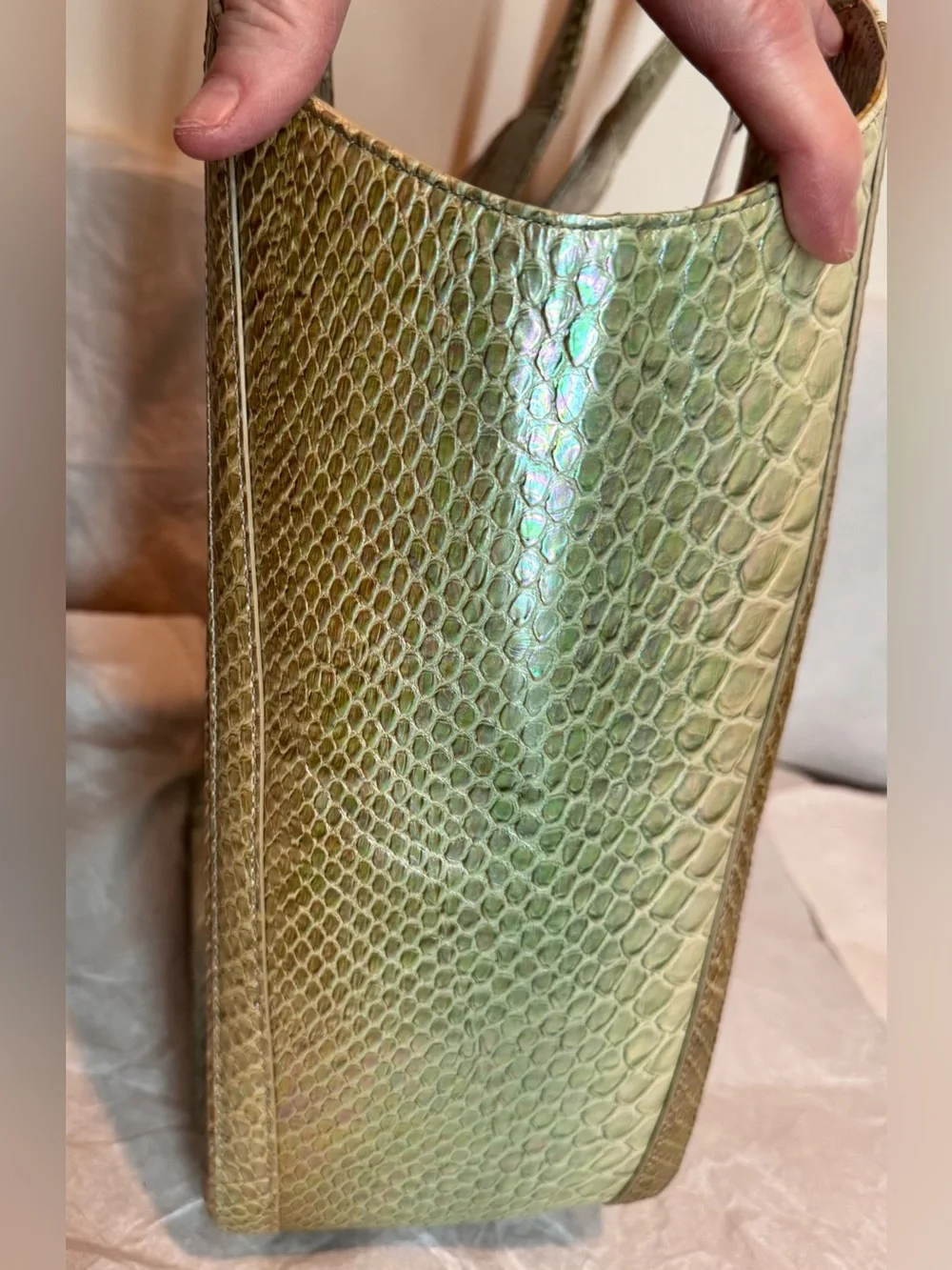 Brahmin NWT Large Carla Market Tote in Green Velocity — Rare!